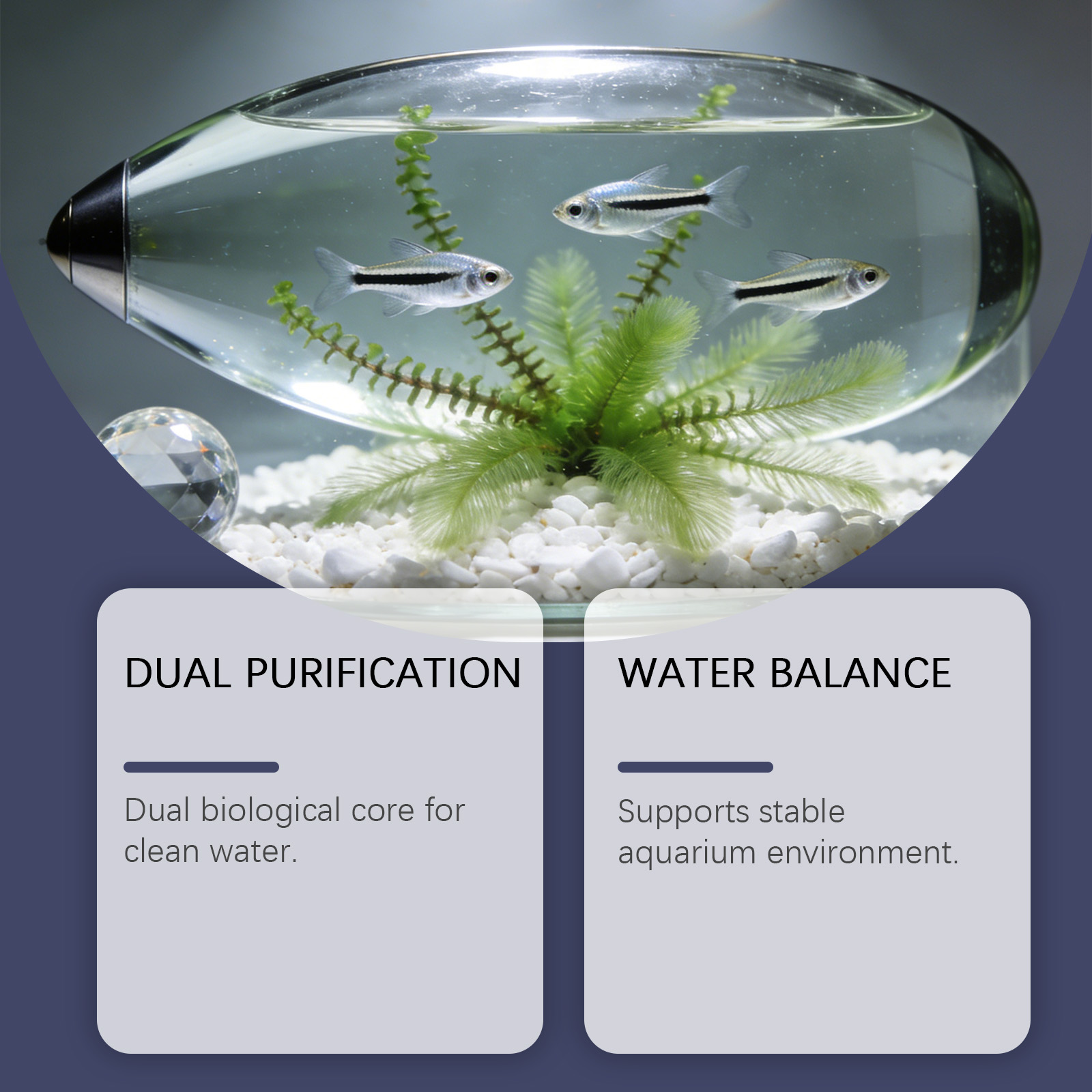 Algae Remover Tablets for Aqua - Planted Aquarium Algae Remover 리뷰 및 가격