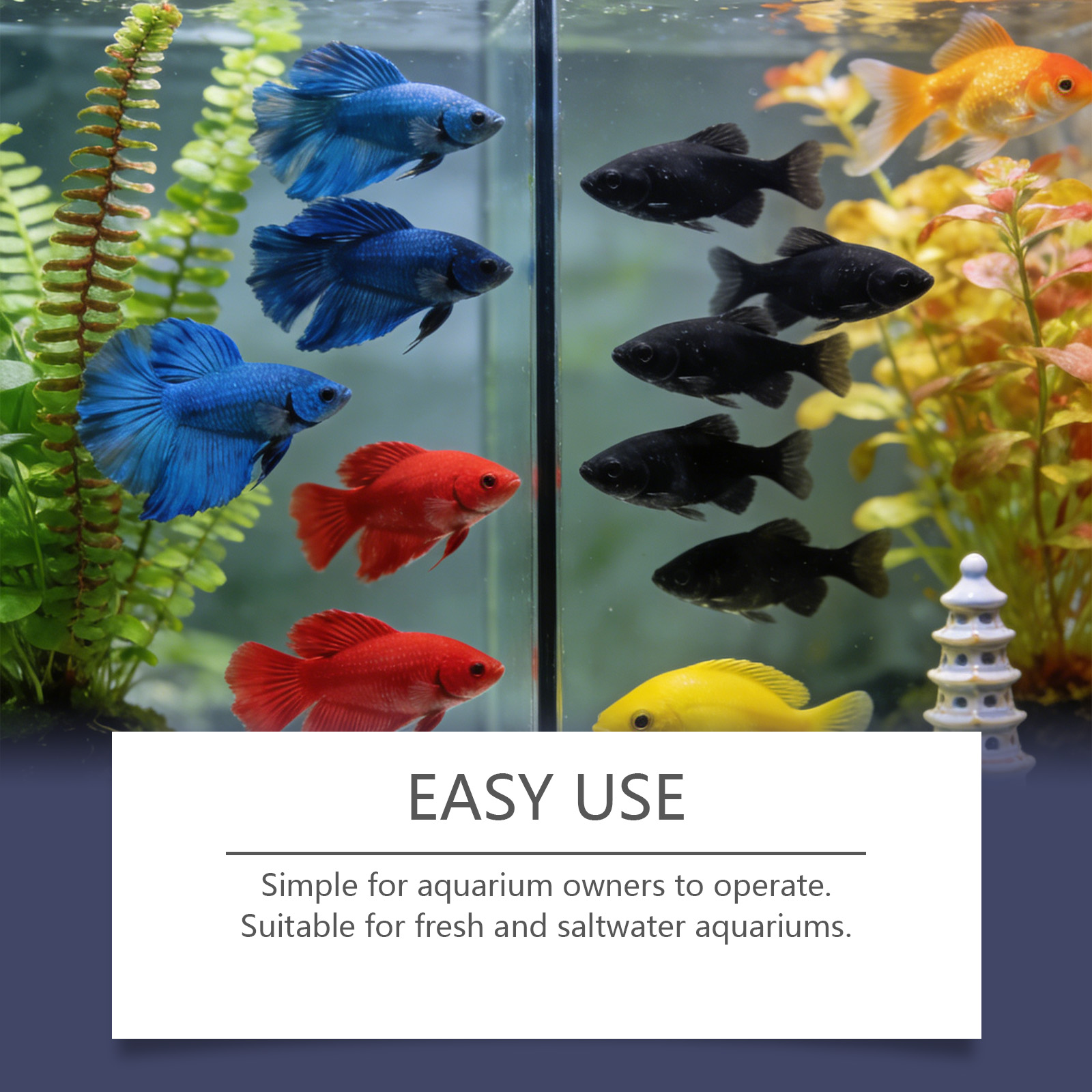 Algae Remover Tablets for Aqua - Planted Aquarium Algae Remover 리뷰 및 가격