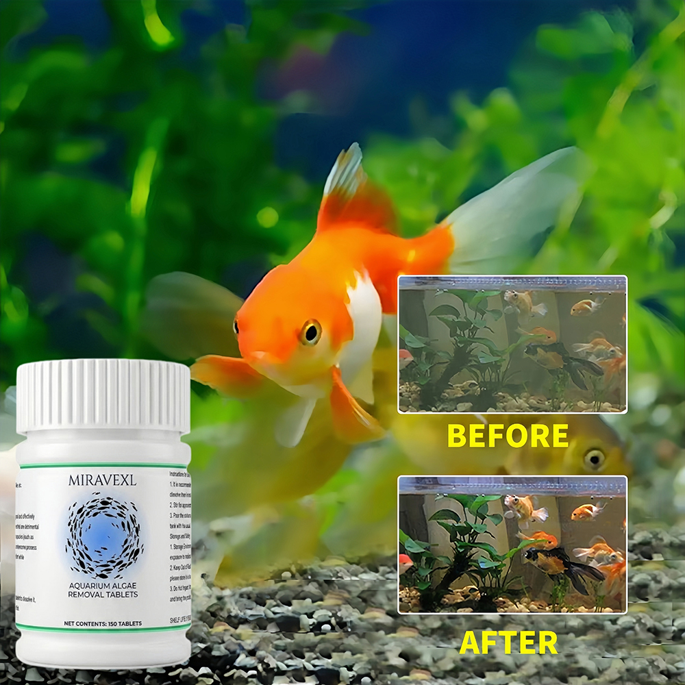 150 Ct Aquarium Algae Removal  - Planted Aquarium Algae Remover 리뷰 및 가격