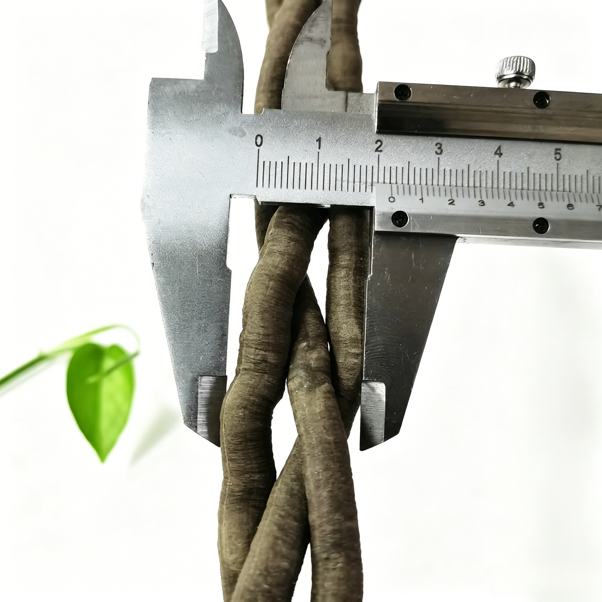 100cm Artificial Vine Plant Cl - Aquarium Plant Display 리뷰 및 가격