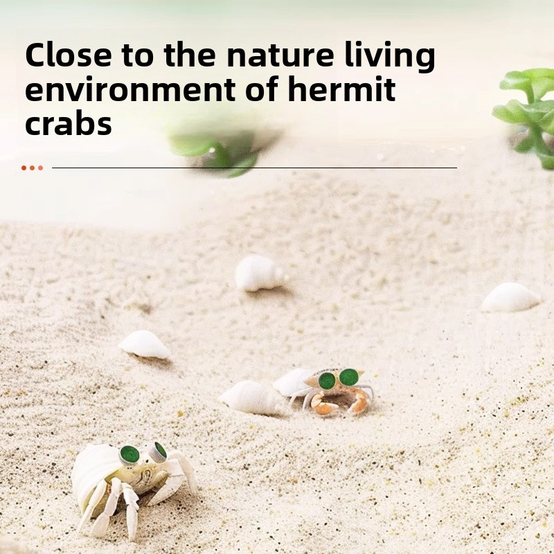 FKSC Hermit Crab Sand & Aquari - Aquarium Sand White 리뷰 및 가격
