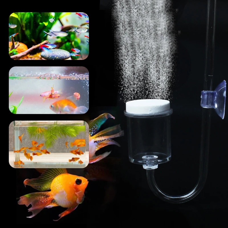 4pcs Set DIY CO2 Diffuser For  - Planted Aquarium Co2 Kit 리뷰 및 가격