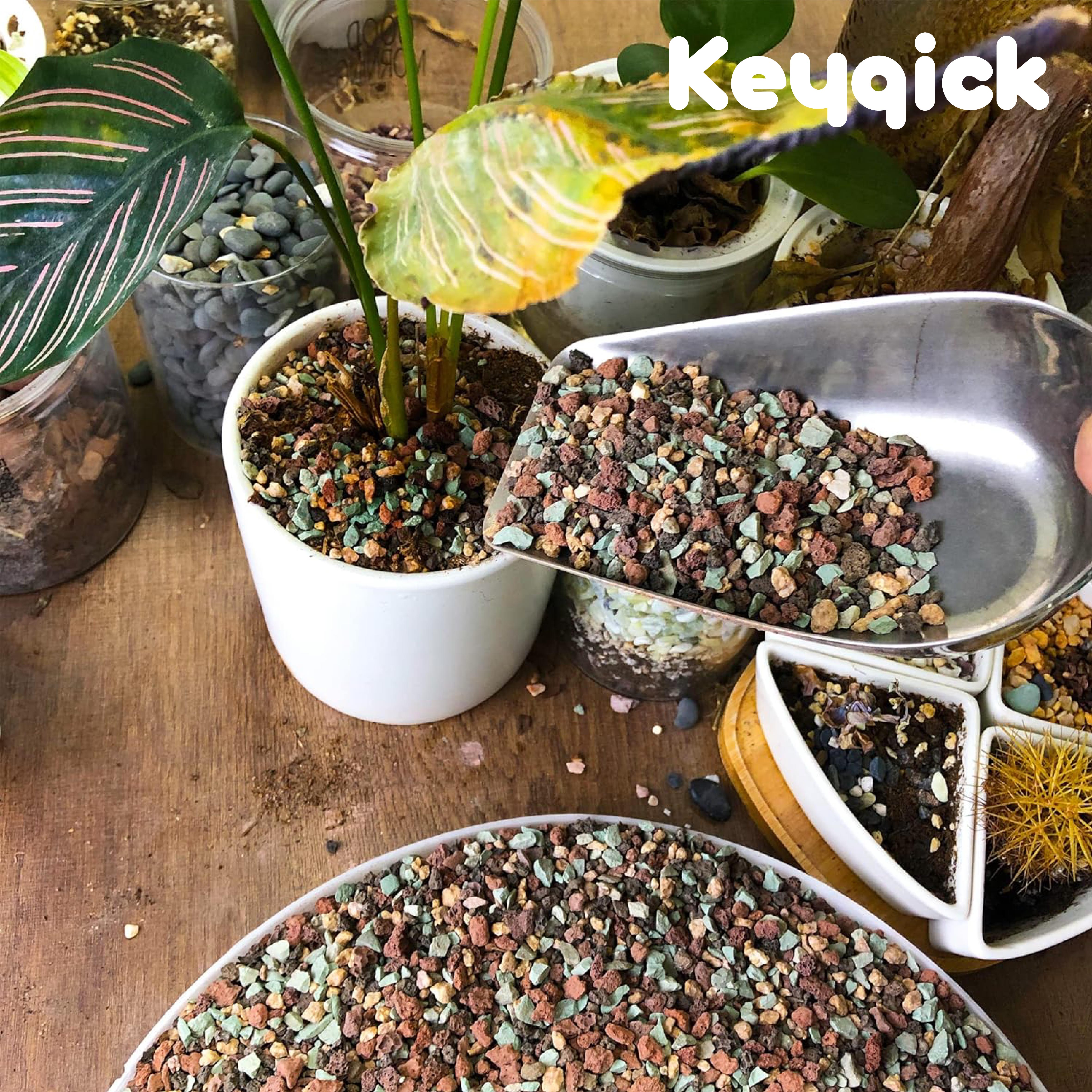 1lbs Natural Color Mixed Grave - Aquarium Plant Gravel 리뷰 및 가격