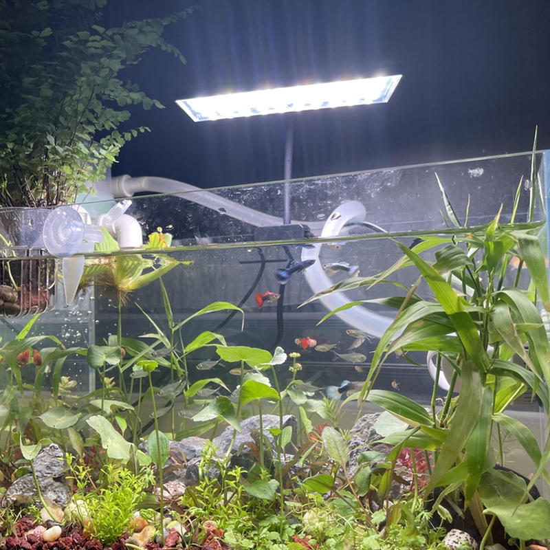 Aquarium Fish Tank Full Spectr - Planted Aquarium Cycling 리뷰 및 가격