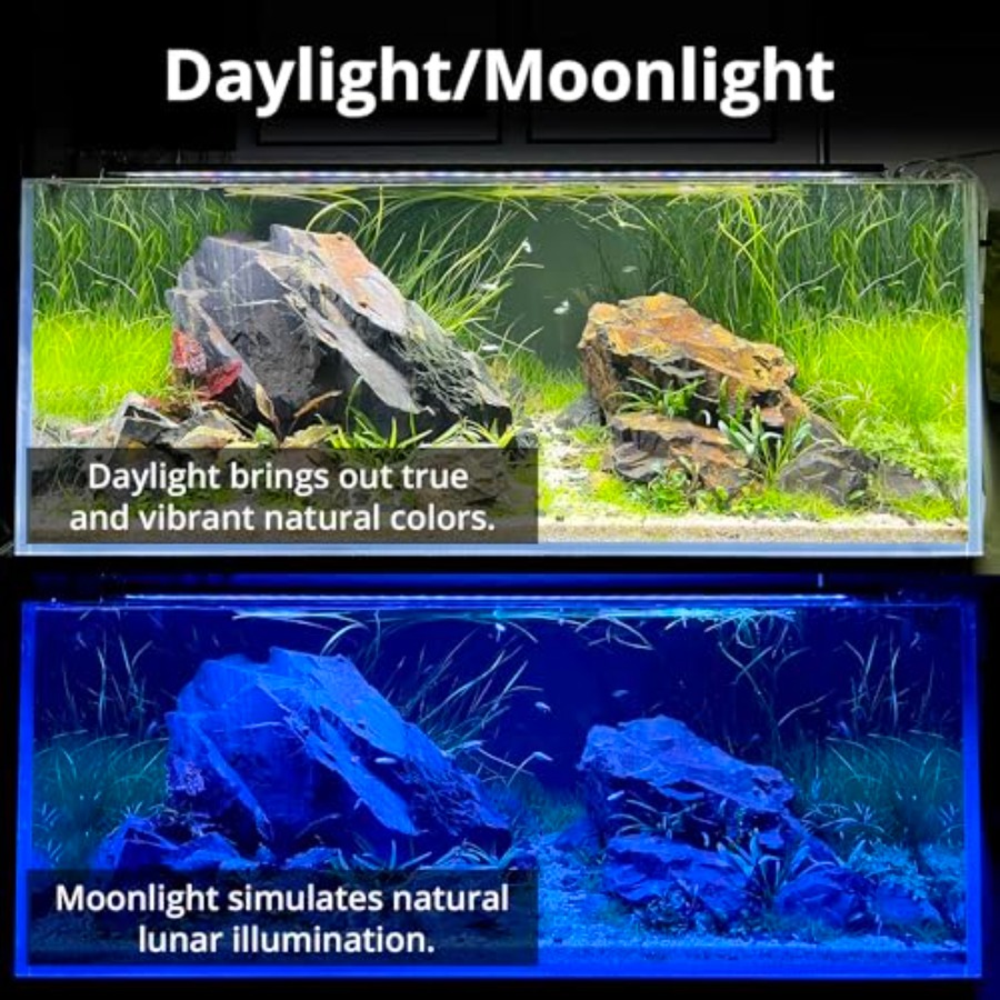 C10 Plants LED Aquarium Light, - Planted Aquarium Cycling 리뷰 및 가격